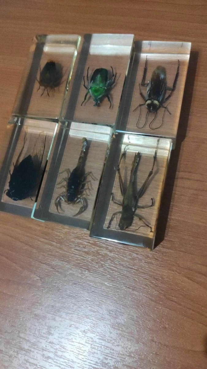 Vendora Εντωμα Συλλογη 4 Vendora Εντωμα Συλλογη - Image 2