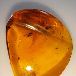 Vendora ΝΈΑ ΠΑΡΑΛΑΒΉ. ΛΙΘΟΣ ΑΠΟ ΚΕΧΡΙΜΠΆΡΙ ΒΑΛΤΙΚΗΣ, WITH INSECTS, ΚΑΤΑΛΛΗΛΟ ΓΙΑ ΜΕΝΤΑΓΙΌΝ. 10, 72 ΓΡΑΜΜΑΡΊΩΝ. -vendora shop 79df4f9e17d279356946a00c0af64e67ae2bf626 xl