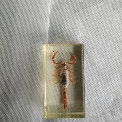 Vendora ΕΠΙΤΡΑΠΈΖΙΑ ΔΙΑΚΟΣΜΗΤΙΚΆ ΜΕ ΑΡΘΡΟΠΟΔΑ ΠΕΡΙΚΛΥΟΜΕΝΑ ΜΕ ΓΥΑΛΊ (ΠΑΚΈΤΟ 6 ΤΕΜΑΧΙΑ) -vendora shop 7b3e1911ba8ba99bbd8c9e62a6cd76de4c92797d xl