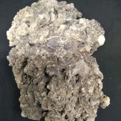 Vendora Πέτρωμα από θαλάσσιο βυθό -vendora shop 7b68eae4626f272e254d1f347ae657216b8a0a1a xl