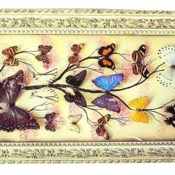 Vendora Συλλογη Πεταλουδες Βαλσαμωμενες σε καδρο του 1973 -vendora shop 7f9ff29059a1af2279d82a6202d3a04c6825bb24 xl