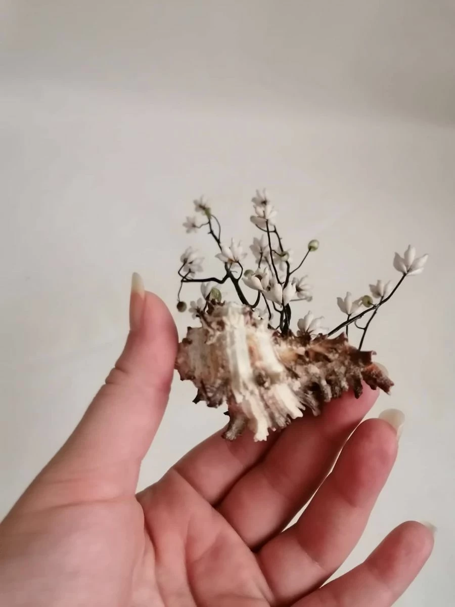 Vendora ΚΟΧΥΛΙΑ Handmade Creation Decor Of Natural Sea Shells Aprox 17cm 6 Vendora ΚΟΧΥΛΙΑ Handmade Creation Decor Of Natural Sea Shells Aprox 17cm - Image 4