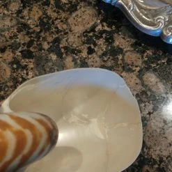 Vendora Συλλογή κοχυλιών -vendora shop 80a1b16a0d28ace84d3bd304592521914307cbf6 xl