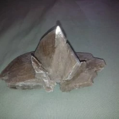 Vendora Ρόδο της ερήμου #1 12 Vendora Ρόδο της ερήμου #1 -vendora shop 81966f571bd2a6a9cf25d75b5b6d5a03f6567115 xl