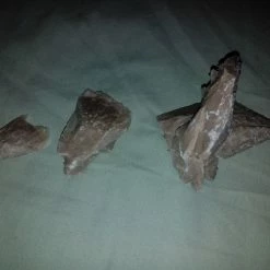 Vendora Ρόδο της Ερήμου #3