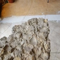 Vendora Μοναδικοί παλαιοντολογικοί λίθοι 250 εκατομμυρίων ετών με απολιθώματα κοχυλιών -vendora shop 8350c8310c023fa691674ade55f9418a0fec66d8 xl