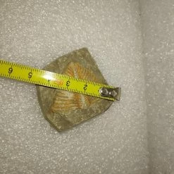 Vendora Φυσικο Απολιθωμα Ασπονδυλο Τριλοβιτης -vendora shop 838872dcf6e04ce6cb454ec2cdb57538acb0dac9 xl