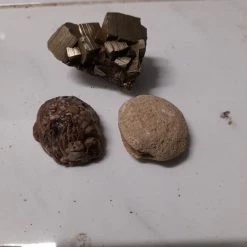 Vendora δύο πετρώματα ένα απολίθωμα -vendora shop 84119d43c0819a7ea2d80f9ddb0d3ab4dbb631e6 xl