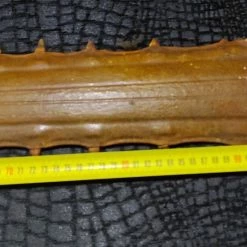 Vendora ΡΥΓΧΟΣ ΠΡΙΟΝΟΚΑΡΧΑΡΙΑ 93 Cm -vendora shop 84b64f9c8a137e5061dd0bf4df9002fc838e5f86 xl