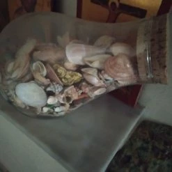 Vendora Κοχύλια