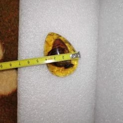 Vendora Πεταλουδα Σε Απομιμηση Κεχριμπαριου -vendora shop 86d8ca0471c93eb8b847b584ca9756aba5de82bd xl