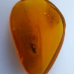 Vendora ΝΈΑ ΠΑΡΑΛΑΒΉ. ΣΤΑΓΟΝΑ ΑΠΟ ΚΕΧΡΙΜΠΆΡΙ ΒΑΛΤΙΚΗΣ, WITH INSECTS, ΚΑΤΑΛΛΗΛΟ ΓΙΑ ΜΕΝΤΑΓΙΌΝ Η ΑΛΛΟ ΚΌΣΜΗΜΑ 0,93 ΓΡΑΜΜΑΡΊΩΝ. -vendora shop 87a9967a77650891998ca87b49fd2ae6605f885e xl