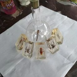 Vendora ΕΠΙΤΡΑΠΈΖΙΑ ΔΙΑΚΟΣΜΗΤΙΚΆ ΜΕ ΑΡΘΡΟΠΟΔΑ ΠΕΡΙΚΛΥΟΜΕΝΑ ΜΕ ΓΥΑΛΊ (ΠΑΚΈΤΟ 6 ΤΕΜΑΧΙΑ) -vendora shop 8c915160d270087cd6f9bc0861188c959e841803 xl