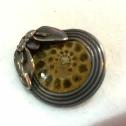 Vendora Απολιθωμένο σαλιγγάρι -vendora shop 8dd8604c1ce9f915a4ac2c5367bbbd208f473d76 xl