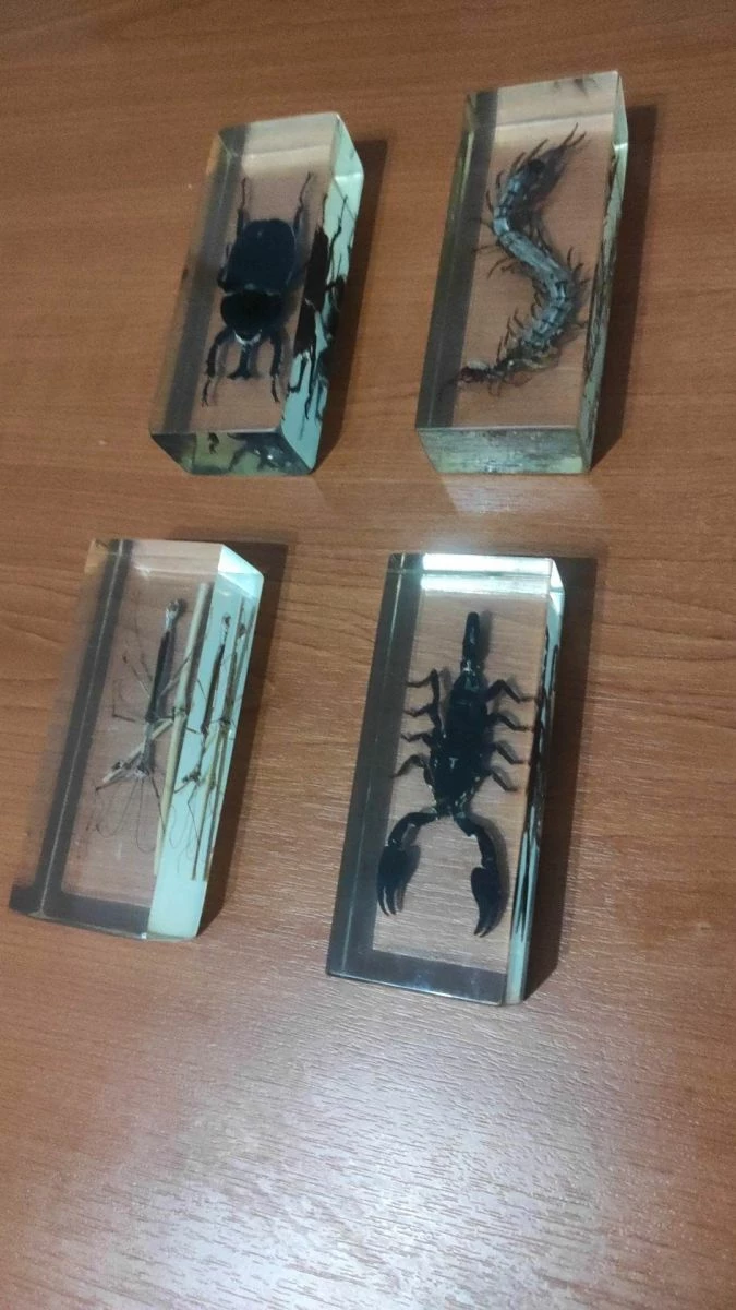 Vendora Εντωμα Συλλογη 3 Vendora Εντωμα Συλλογη