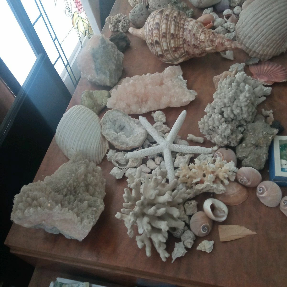 Vendora ΚΟΧΥΛΙΑ ΟΣΤΡΑΚΑ. ΠΕΤΡΩΜΑΤΑ η τιμή είναι για ολα 12 Vendora ΚΟΧΥΛΙΑ ΟΣΤΡΑΚΑ. ΠΕΤΡΩΜΑΤΑ η τιμή είναι για ολα - Image 10