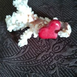 Vendora κοράλλι διακοσμητικό