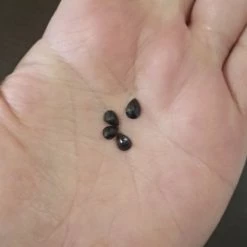 Vendora Ζαφείρια πολύτιμες πέτρες -vendora shop 8f602163797b1e7e55aa8f7d7b558350f825aa17 xl