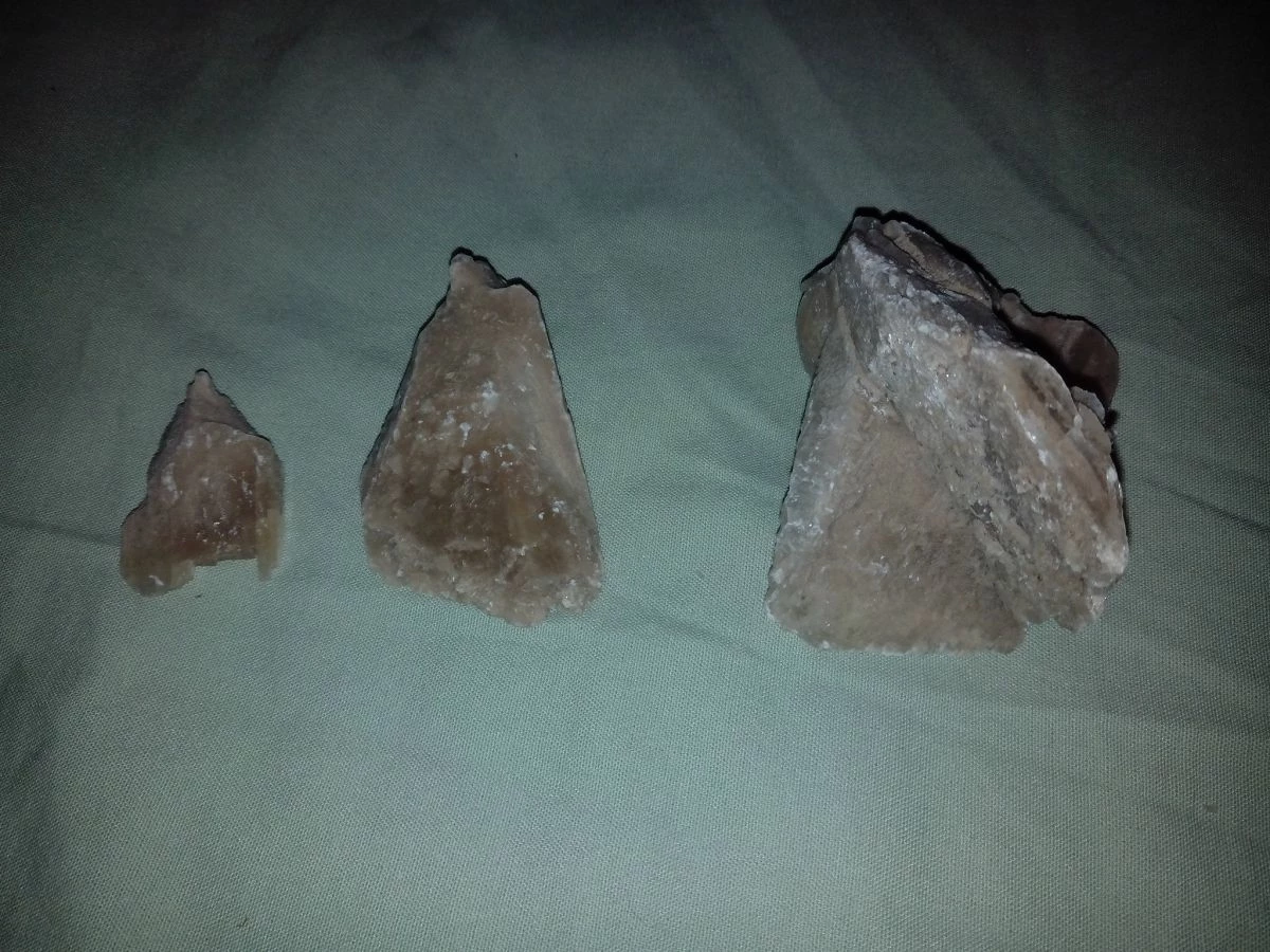 Vendora Ρόδο της Ερήμου #3 4 Vendora Ρόδο της Ερήμου #3 - Image 2