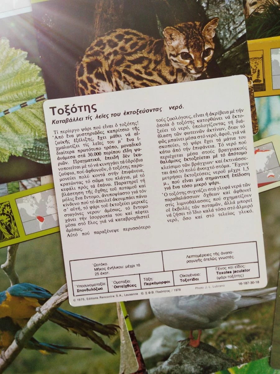 Vendora 1975 EDITIONS RENCONTRE 200 ΣΥΛΛΕΚΤΙΚΕΣ ΚΑΡΤΕΣ ΜΕ ΖΩΑ 4 Vendora 1975 EDITIONS RENCONTRE 200 ΣΥΛΛΕΚΤΙΚΕΣ ΚΑΡΤΕΣ ΜΕ ΖΩΑ - Image 2