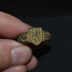 Vendora 14η Μεραρχία Γρεναδιέρων Waffen των SS (1η Γαλικιανή) 1939-1945 ΜΠΡΟΥΤΖΙΝΟ