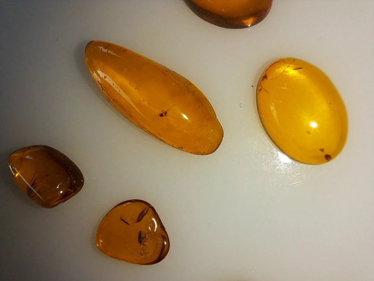 Vendora ΝΈΑ ΠΑΡΑΛΑΒΉ. ΣΤΑΓΟΝΕΣ ΑΠΟ ΚΕΧΡΙΜΠΆΡΙ ΒΑΛΤΙΚΗΣ, WITH INSECTS, ΚΑΤΑΛΛΗΛΑ ΓΙΑ ΜΕΝΤΑΓΙΌΝ Η ΑΛΛΑ ΚΌΣΜΗΜΑΤΑ 2,36ΓΡΑΜΜΑΡΊΩΝ. 6 Vendora ΝΈΑ ΠΑΡΑΛΑΒΉ. ΣΤΑΓΟΝΕΣ ΑΠΟ ΚΕΧΡΙΜΠΆΡΙ ΒΑΛΤΙΚΗΣ, WITH INSECTS, ΚΑΤΑΛΛΗΛΑ ΓΙΑ ΜΕΝΤΑΓΙΌΝ Η ΑΛΛΑ ΚΌΣΜΗΜΑΤΑ 2,36ΓΡΑΜΜΑΡΊΩΝ. - Image 4