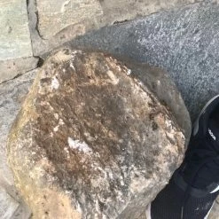 Vendora Πέτρωμα