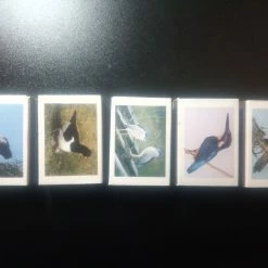 Vendora ΒΕΛΠΕΞ ΠΟΥΛΙΑ, ΣΕΙΡΑ ΣΠΙΡΤΟΚΟΥΤΩΝ ΠΛΗΡΕΣ -vendora shop 93ddb91a7e44d7ef16366656edbc1f141a93db20 xl