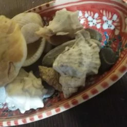 Vendora Συλλογή με όστρακα σε πιατέλα (1970-1980) -vendora shop 9459af1094d3372826ce1de71ccb6d963efa5ac5 xl