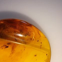 Vendora ΝΈΑ ΠΑΡΑΛΑΒΉ. ΛΙΘΟΣ ΑΠΟ ΚΕΧΡΙΜΠΆΡΙ ΒΑΛΤΙΚΗΣ, WITH INSECTS, ΚΑΤΑΛΛΗΛΟ ΓΙΑ ΜΕΝΤΑΓΙΌΝ. 10, 72 ΓΡΑΜΜΑΡΊΩΝ. -vendora shop 94af270323f7e5b15cbe0e1a1d451b6f0fa0a68a xl