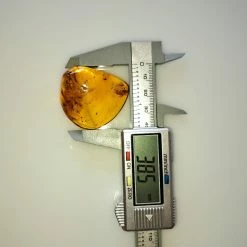 Vendora ΝΈΑ ΠΑΡΑΛΑΒΉ. ΛΙΘΟΣ ΑΠΟ ΚΕΧΡΙΜΠΆΡΙ ΒΑΛΤΙΚΗΣ, WITH INSECTS, ΚΑΤΑΛΛΗΛΟ ΓΙΑ ΜΕΝΤΑΓΙΌΝ. 10, 72 ΓΡΑΜΜΑΡΊΩΝ. -vendora shop 9556e08d2606f52c904de8ff64bd781478d5021c xl