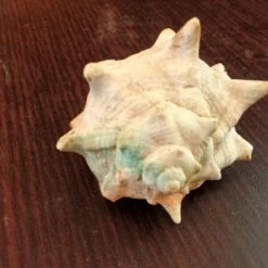 vendora shop -vendora shop 9cf6ac409e0d35712c32f10bb3300aa95af67f99 xl