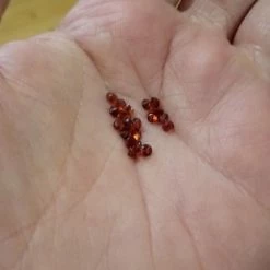 Vendora Garnet ημιπολυτιμοι λιθοι 19 Vendora Garnet ημιπολυτιμοι λιθοι -vendora shop a07d9c53429d2b67ffa1c46313f3e9e0e042cf24 xl