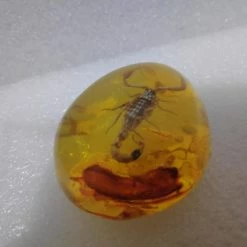 Vendora Σκορπιος Μεσα σε Απομιμηση Κεχριμπαριου -vendora shop a63565c7fd4cc5a4bf480c7f30d909b256223ded xl