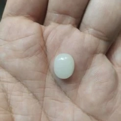 Vendora πωλείτε από συλλέκτη ορυκτών πολύτιμων λίθων πανέμορφο λευκό ορυκτό οπάλιο Αυστραλίας Campochon 5,95 Ct -vendora shop a9c12b2d78b9fc4aa979bb736c59cbc60805ea04 xl