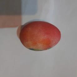 Vendora Πασχαλινο Αυγο 7ετιας -vendora shop aba6115b0c20fbf2d9fa0466aa4a27bdbbcae264 xl