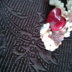 Vendora κοράλλι διακοσμητικό -vendora shop ac40bb59bd412d2345fbc2e5e8a8d2d3d1495f26 xl