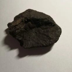 Vendora Πέτρωμα Λιγνίτης, Σερβίας