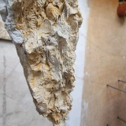 Vendora Μοναδικοί παλαιοντολογικοί λίθοι 250 εκατομμυρίων ετών με απολιθώματα κοχυλιών -vendora shop b04ffbe3f0d27f2e6106b492a0ad49351b466979 xl