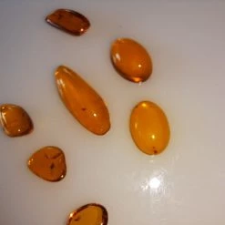 Vendora ΝΈΑ ΠΑΡΑΛΑΒΉ. ΣΤΑΓΟΝΕΣ ΑΠΟ ΚΕΧΡΙΜΠΆΡΙ ΒΑΛΤΙΚΗΣ, WITH INSECTS, ΚΑΤΑΛΛΗΛΑ ΓΙΑ ΜΕΝΤΑΓΙΌΝ Η ΑΛΛΑ ΚΌΣΜΗΜΑΤΑ 2,36ΓΡΑΜΜΑΡΊΩΝ. 10 Vendora ΝΈΑ ΠΑΡΑΛΑΒΉ. ΣΤΑΓΟΝΕΣ ΑΠΟ ΚΕΧΡΙΜΠΆΡΙ ΒΑΛΤΙΚΗΣ, WITH INSECTS, ΚΑΤΑΛΛΗΛΑ ΓΙΑ ΜΕΝΤΑΓΙΌΝ Η ΑΛΛΑ ΚΌΣΜΗΜΑΤΑ 2,36ΓΡΑΜΜΑΡΊΩΝ. -vendora shop b1920301f181972d1b9970736c47d13c08368a62 xl