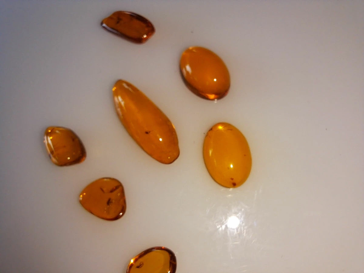 Vendora ΝΈΑ ΠΑΡΑΛΑΒΉ. ΣΤΑΓΟΝΕΣ ΑΠΟ ΚΕΧΡΙΜΠΆΡΙ ΒΑΛΤΙΚΗΣ, WITH INSECTS, ΚΑΤΑΛΛΗΛΑ ΓΙΑ ΜΕΝΤΑΓΙΌΝ Η ΑΛΛΑ ΚΌΣΜΗΜΑΤΑ 2,36ΓΡΑΜΜΑΡΊΩΝ. 4 Vendora ΝΈΑ ΠΑΡΑΛΑΒΉ. ΣΤΑΓΟΝΕΣ ΑΠΟ ΚΕΧΡΙΜΠΆΡΙ ΒΑΛΤΙΚΗΣ, WITH INSECTS, ΚΑΤΑΛΛΗΛΑ ΓΙΑ ΜΕΝΤΑΓΙΌΝ Η ΑΛΛΑ ΚΌΣΜΗΜΑΤΑ 2,36ΓΡΑΜΜΑΡΊΩΝ. - Image 2