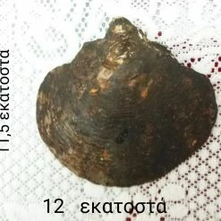 Vendora Όστρακο Αγ.Κων/νος & Ελένη -vendora shop b54ffc072f3f80cde81eb61cca6de5e5ac292249 xl