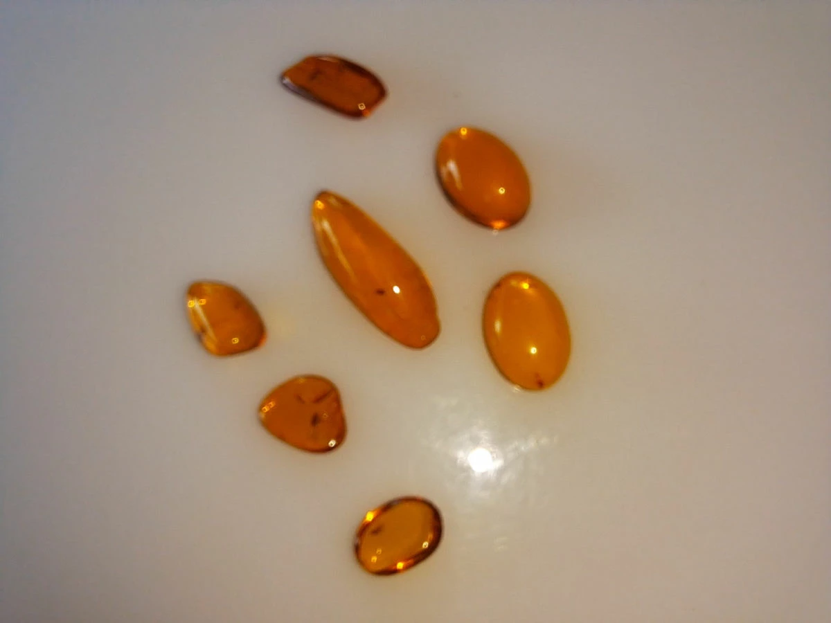 Vendora ΝΈΑ ΠΑΡΑΛΑΒΉ. ΣΤΑΓΟΝΕΣ ΑΠΟ ΚΕΧΡΙΜΠΆΡΙ ΒΑΛΤΙΚΗΣ, WITH INSECTS, ΚΑΤΑΛΛΗΛΑ ΓΙΑ ΜΕΝΤΑΓΙΌΝ Η ΑΛΛΑ ΚΌΣΜΗΜΑΤΑ 2,36ΓΡΑΜΜΑΡΊΩΝ. 3 Vendora ΝΈΑ ΠΑΡΑΛΑΒΉ. ΣΤΑΓΟΝΕΣ ΑΠΟ ΚΕΧΡΙΜΠΆΡΙ ΒΑΛΤΙΚΗΣ, WITH INSECTS, ΚΑΤΑΛΛΗΛΑ ΓΙΑ ΜΕΝΤΑΓΙΌΝ Η ΑΛΛΑ ΚΌΣΜΗΜΑΤΑ 2,36ΓΡΑΜΜΑΡΊΩΝ.