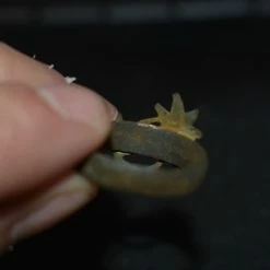 Vendora WW2 Mεραρχια Έντελβαϊς, 1ης ορεινής μεραρχίας της Βέρμαχτ. 10 Vendora WW2 Mεραρχια Έντελβαϊς, 1ης ορεινής μεραρχίας της Βέρμαχτ. -vendora shop b67cdc732e6a51c0286b3bec80f86b536f072f64 xl