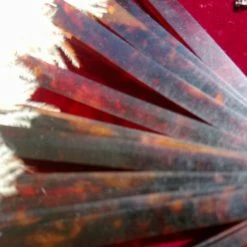 Vendora αντίκες συλλογή γυναικεία αξεσουάρ -vendora shop b785b7d18e7a38859b62d84305270e989b5d99b6 xl