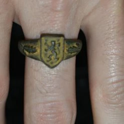 Vendora 14η Μεραρχία Γρεναδιέρων Waffen των SS (1η Γαλικιανή) 1939-1945 ΜΠΡΟΥΤΖΙΝΟ -vendora shop ba388e10e5cf0b0ed3a46069d08ea14482fc0f47 xl