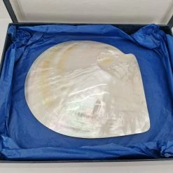 Vendora Όστρακο σε κουτί "Ασημικά Σπύρος Μερισιώτης" -vendora shop bc0c7fa1cb48ad777aec689a563a23073a3c8356 xl