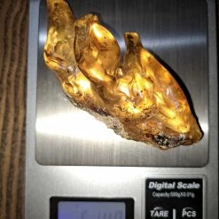 Vendora ΝΕΑ ΠΑΡΑΛΑΒΉ. ROCK WITH INSECTS, ΑΠΟ ΚΕΧΡΙΜΠΆΡΙ ΒΑΛΤΙΚΗΣ. ΕΚΑΤΟΜΜΥΡΙΩΝ ΕΤΩΝ. UV TESTED. 51,48 GR. -vendora shop bda0d37e7ed1827a6e8d99c9c4a30730136522be xl