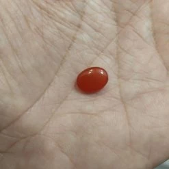 Vendora ΠΩΛΕΙΤΕ ΑΠΟ ΣΥΛΛΕΚΤΗ ΟΡΥΚΤΩΝ ΠΟΛΥΤΙΜΩΝ ΛΙΘΩΝ ΕΝΑ ΜΟΝΑΔΙΚΟ SPLENDID OVAL FIRE OPAL ΑΙΘΙΟΠΙΑΣ 2,16 CT