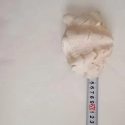 Vendora ΚΟΧΥΛΙΑ Marine Sea 15cm Giant Clam Tridacna Big Conch Natural Craft Ornaments Shell -vendora shop c016839813da07b6343bf424bd34563341dc4c91 xl